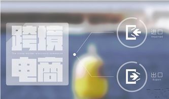 大洋柜AU Mall 打造線上急速購物體驗，誠邀電子商務精英加盟